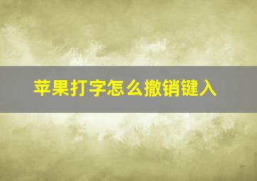 苹果打字怎么撤销键入