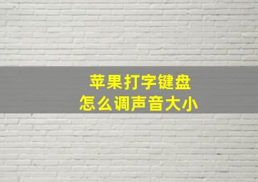 苹果打字键盘怎么调声音大小