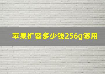 苹果扩容多少钱256g够用