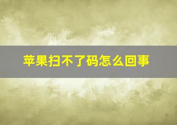 苹果扫不了码怎么回事