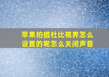 苹果拍摄杜比视界怎么设置的呢怎么关闭声音