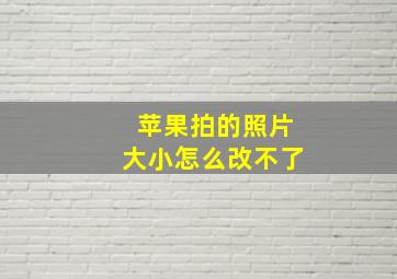 苹果拍的照片大小怎么改不了