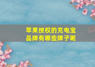 苹果授权的充电宝品牌有哪些牌子呢