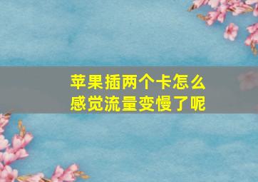 苹果插两个卡怎么感觉流量变慢了呢