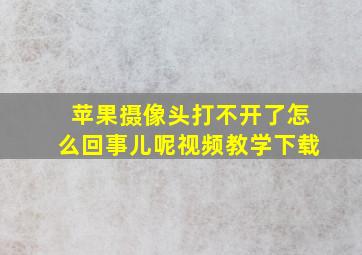 苹果摄像头打不开了怎么回事儿呢视频教学下载