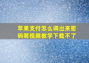 苹果支付怎么调出来密码呢视频教学下载不了