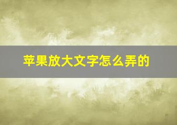 苹果放大文字怎么弄的