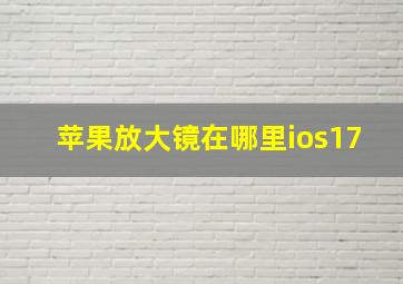 苹果放大镜在哪里ios17