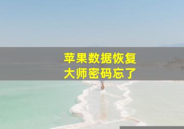 苹果数据恢复大师密码忘了