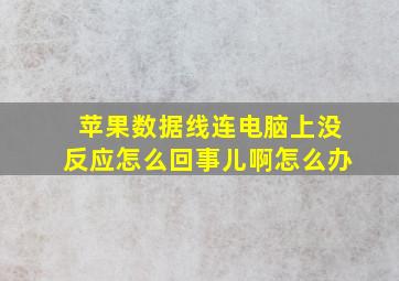 苹果数据线连电脑上没反应怎么回事儿啊怎么办