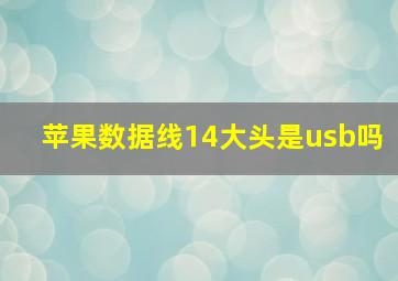 苹果数据线14大头是usb吗