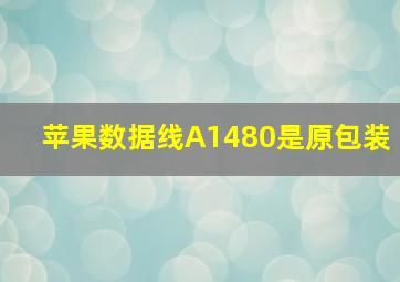 苹果数据线A1480是原包装