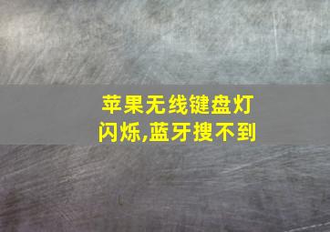 苹果无线键盘灯闪烁,蓝牙搜不到