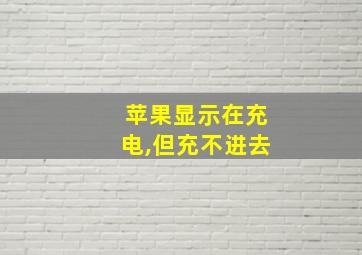 苹果显示在充电,但充不进去