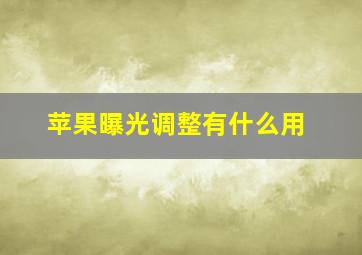 苹果曝光调整有什么用