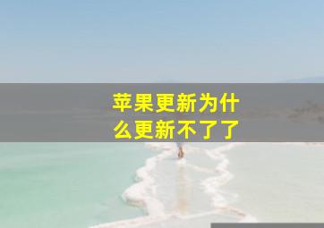 苹果更新为什么更新不了了