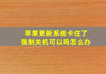 苹果更新系统卡住了强制关机可以吗怎么办