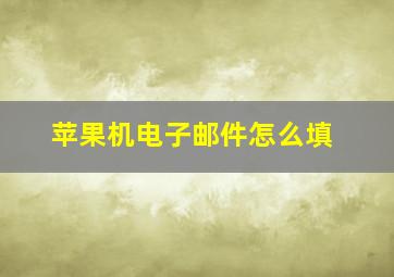 苹果机电子邮件怎么填