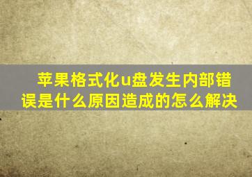 苹果格式化u盘发生内部错误是什么原因造成的怎么解决