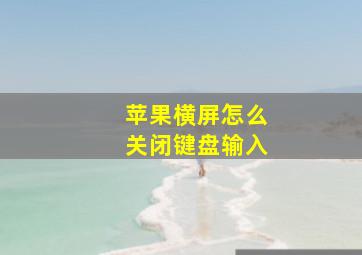 苹果横屏怎么关闭键盘输入