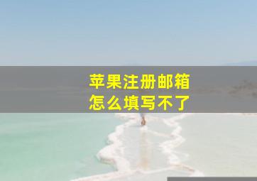 苹果注册邮箱怎么填写不了