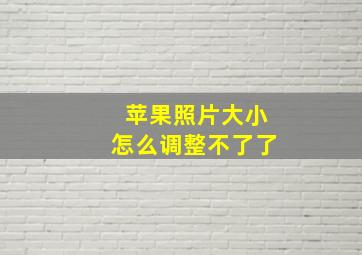 苹果照片大小怎么调整不了了