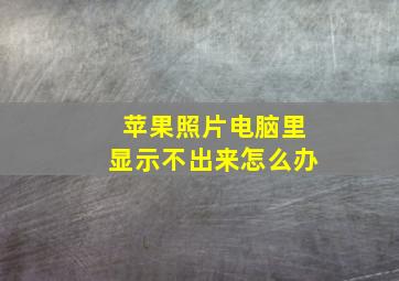 苹果照片电脑里显示不出来怎么办