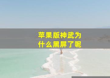 苹果版神武为什么黑屏了呢