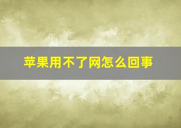 苹果用不了网怎么回事