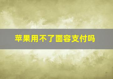 苹果用不了面容支付吗