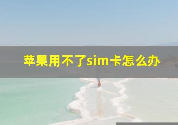 苹果用不了sim卡怎么办