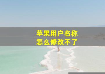 苹果用户名称怎么修改不了