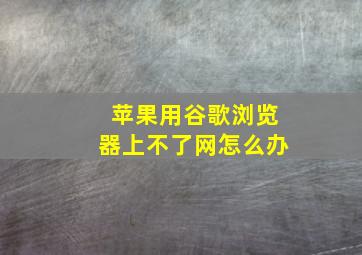 苹果用谷歌浏览器上不了网怎么办