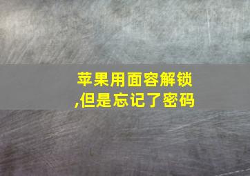 苹果用面容解锁,但是忘记了密码