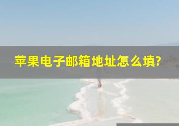 苹果电子邮箱地址怎么填?