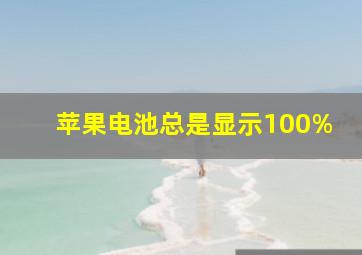 苹果电池总是显示100%