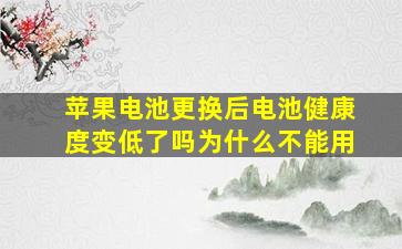 苹果电池更换后电池健康度变低了吗为什么不能用