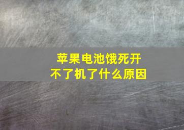 苹果电池饿死开不了机了什么原因