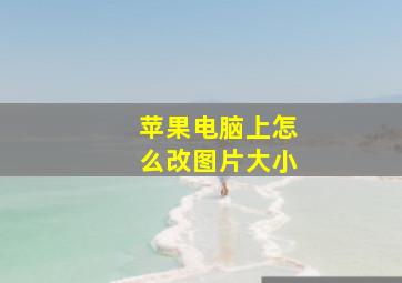 苹果电脑上怎么改图片大小