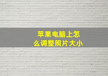 苹果电脑上怎么调整照片大小