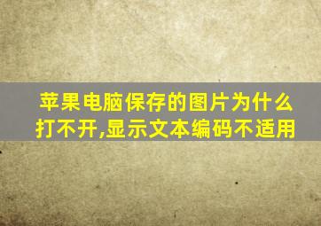 苹果电脑保存的图片为什么打不开,显示文本编码不适用