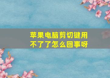 苹果电脑剪切键用不了了怎么回事呀