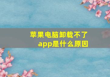 苹果电脑卸载不了app是什么原因