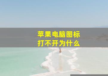 苹果电脑图标打不开为什么