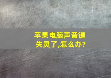 苹果电脑声音键失灵了,怎么办?