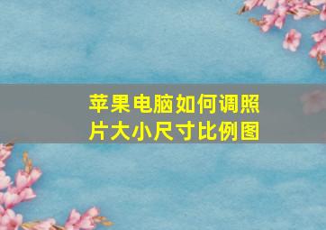 苹果电脑如何调照片大小尺寸比例图