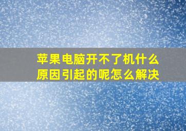 苹果电脑开不了机什么原因引起的呢怎么解决