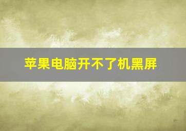 苹果电脑开不了机黑屏