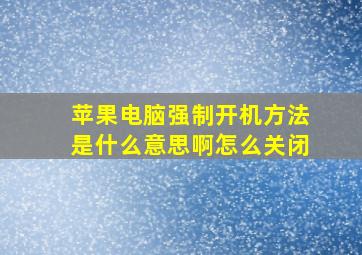 苹果电脑强制开机方法是什么意思啊怎么关闭