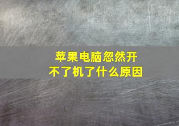 苹果电脑忽然开不了机了什么原因